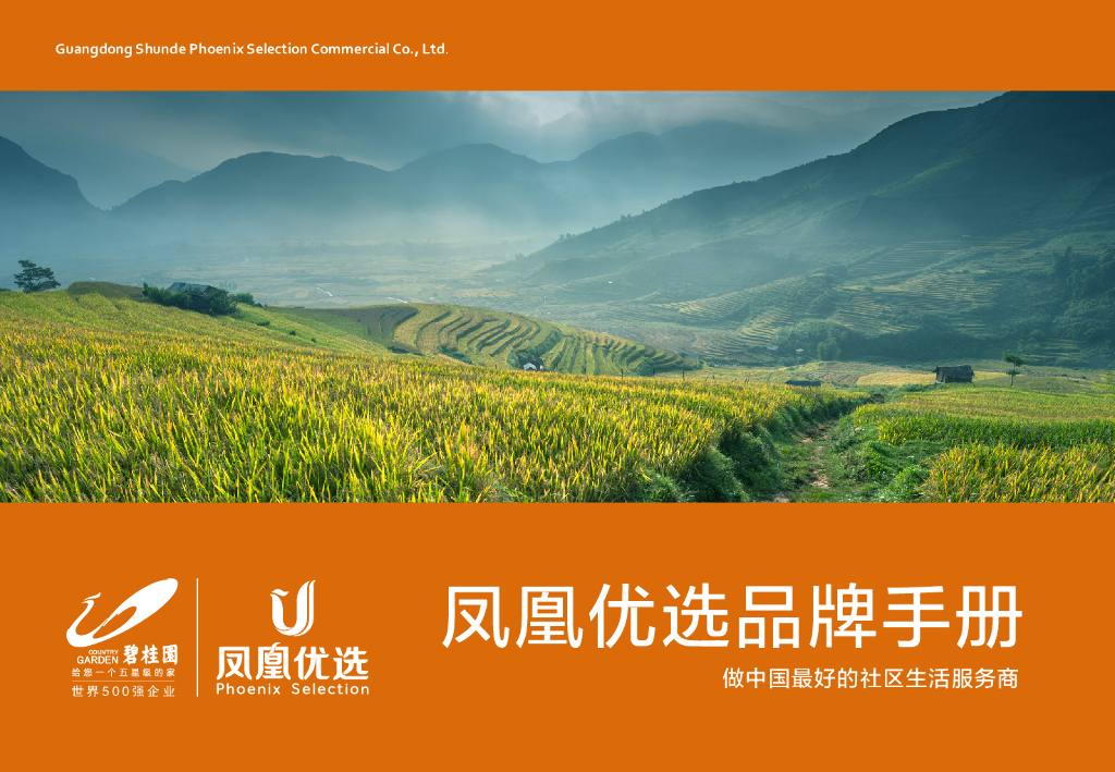 凤凰优选品牌手册