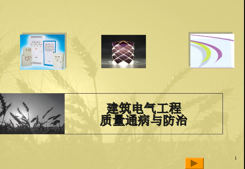 建筑电气工程质量通病与防治（防治案例）