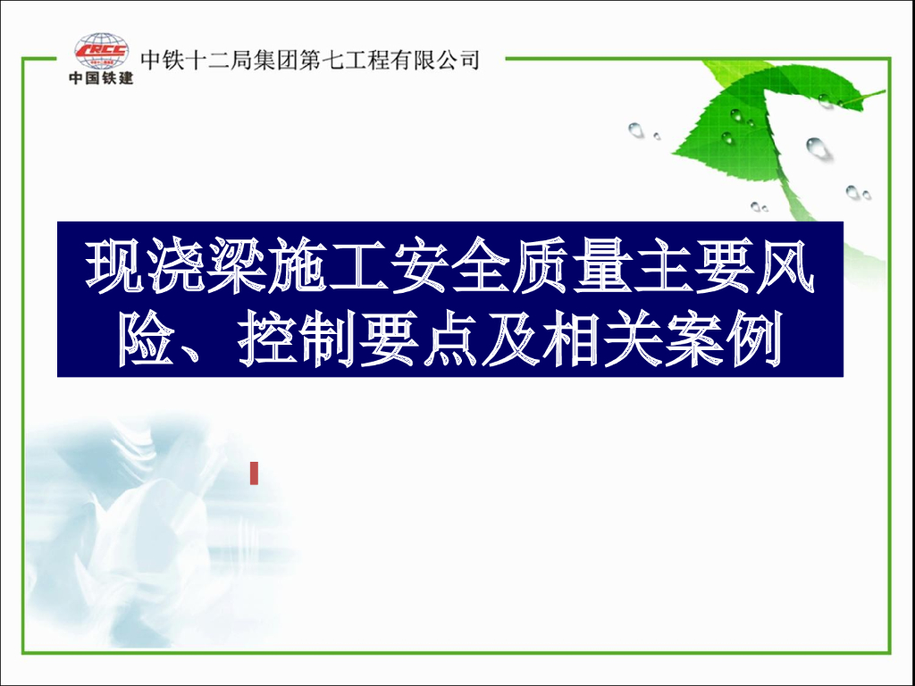 现浇梁施工安全质量控制要点及相关案例（93页）