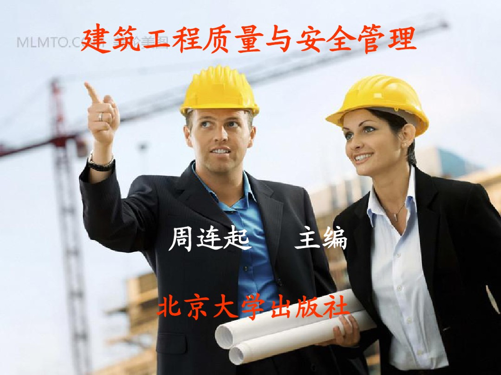 建筑工程质量与安全管理：施工过程安全技术与控制（226页）