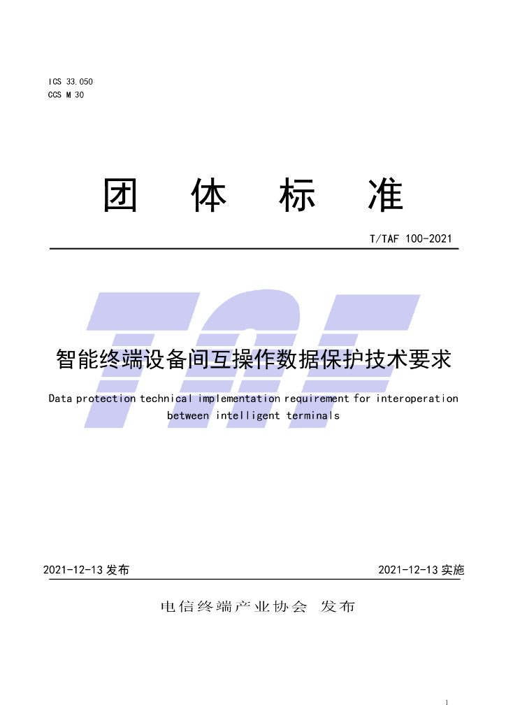 T/TAF 100-2021 标准预览