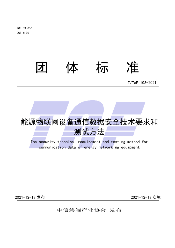 T/TAF 103-2021 标准预览