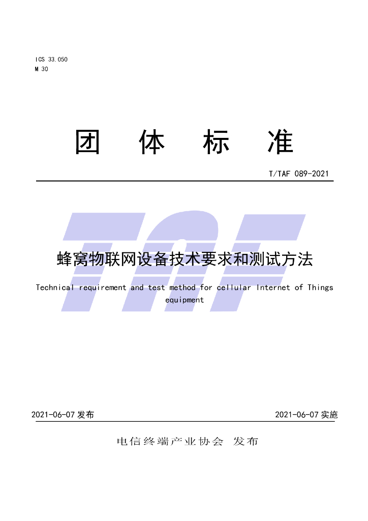 T/TAF 089-2021 标准预览