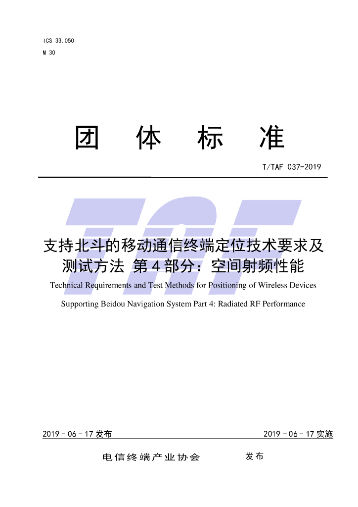 T/TAF 037-2019 标准预览
