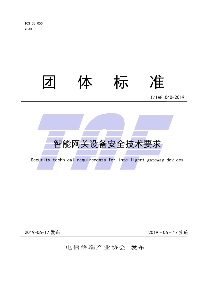 T/TAF 040-2019 标准预览