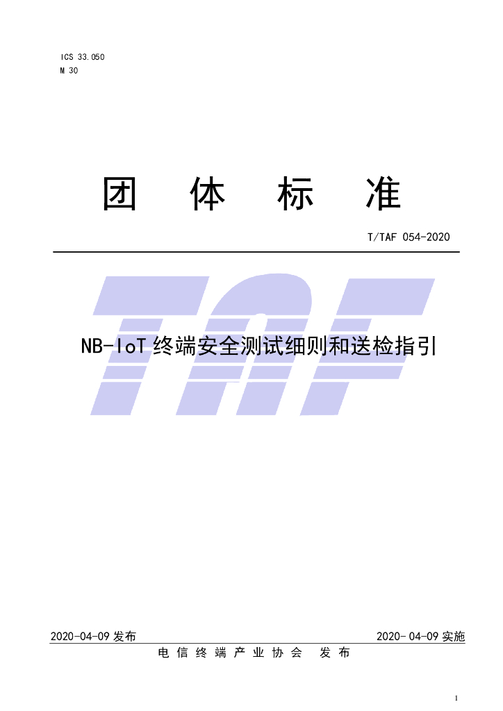 T/TAF 054-2020 标准预览