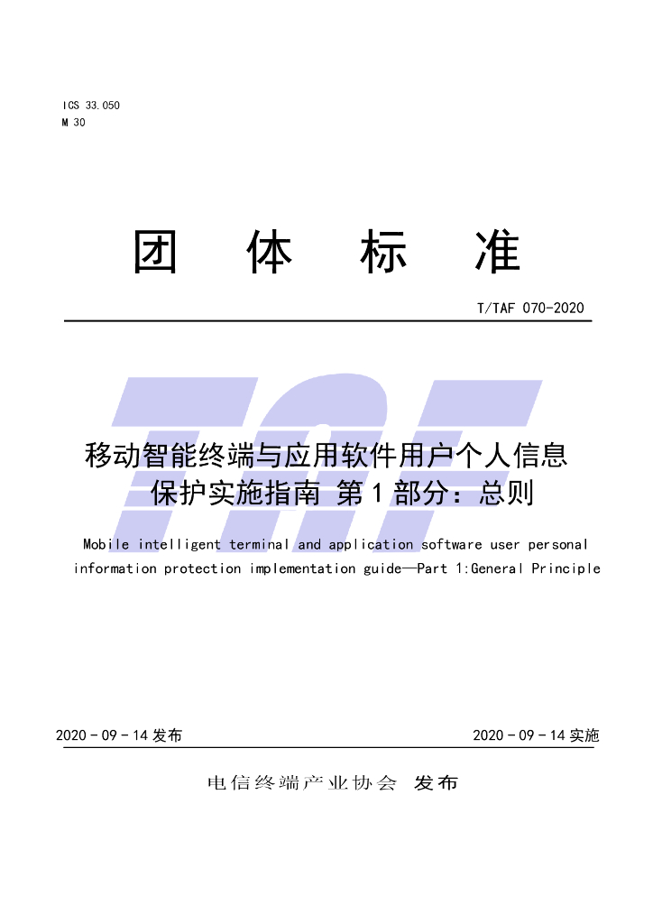T/TAF 070-2020 标准预览