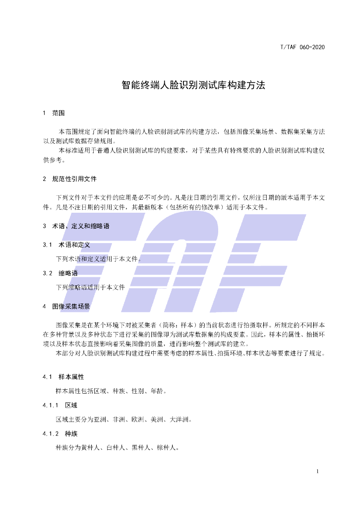 T/TAF 060-2020 标准预览
