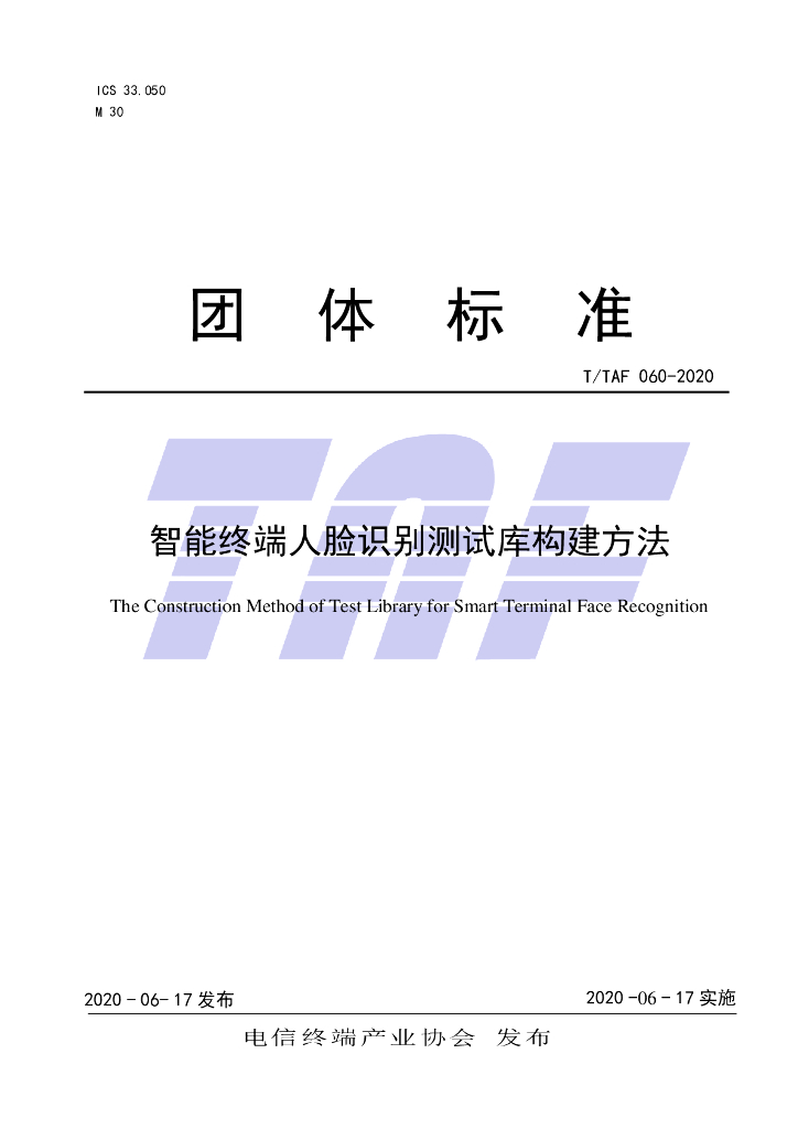 T/TAF 060-2020 标准预览