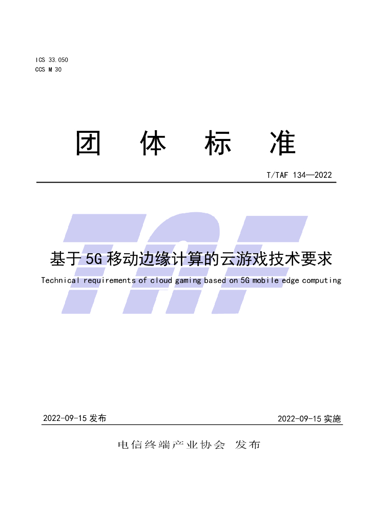 T/TAF 134-2022 标准预览