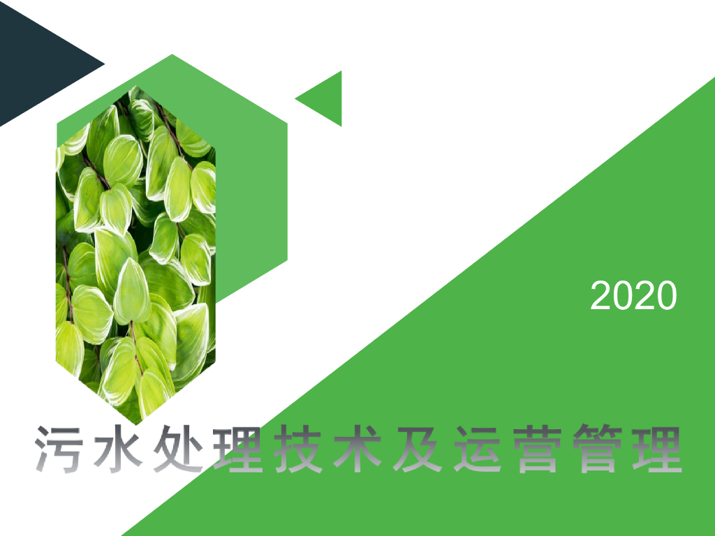 污水处理技术及运营管理