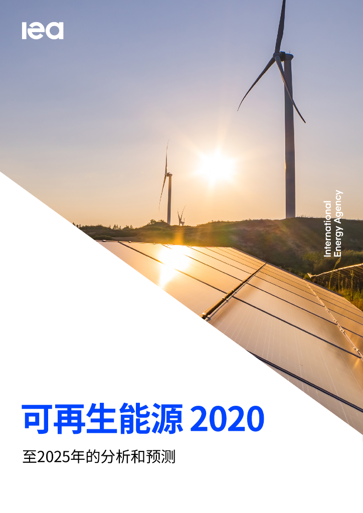 国际能源署-2020年可再生能源报告