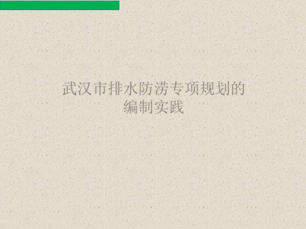 武汉市排水防涝专项规划的编制实践