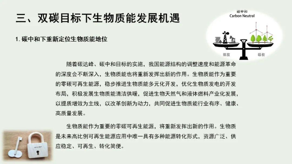 肖明松：碳中和的能源路径与生物质能产业突破_第8页