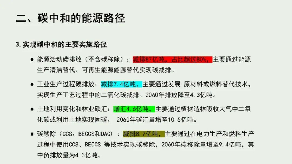 肖明松：碳中和的能源路径与生物质能产业突破_第7页