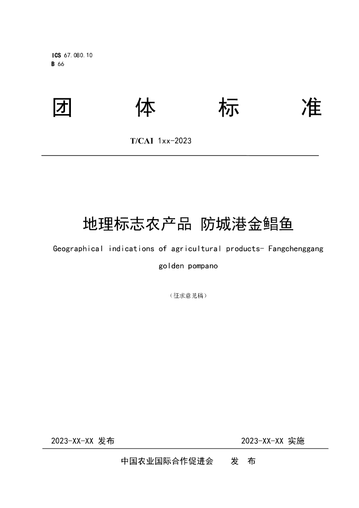 T/CAI XXXX-20XX 标准预览