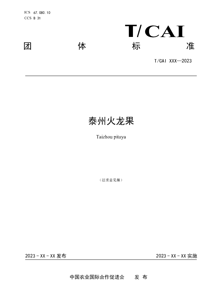 T/CAI XXXX-20XX 标准预览