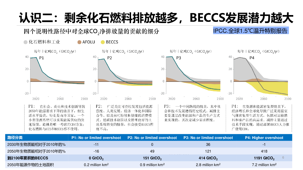 清华大学常世彦：生物质能碳捕集与封存在实现碳中和中的作用_第6页