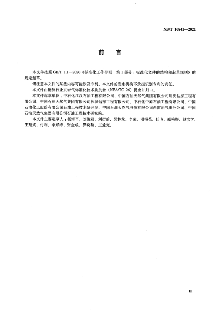 NB/T 10841-2021 标准预览