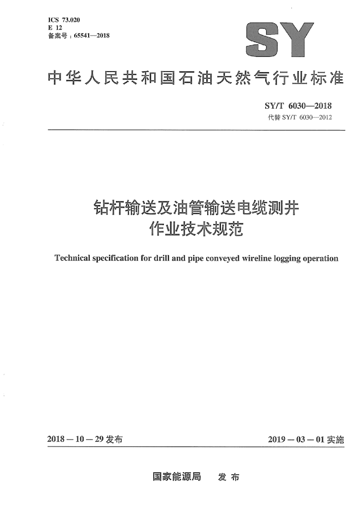 SY/T 6030-2018 标准预览