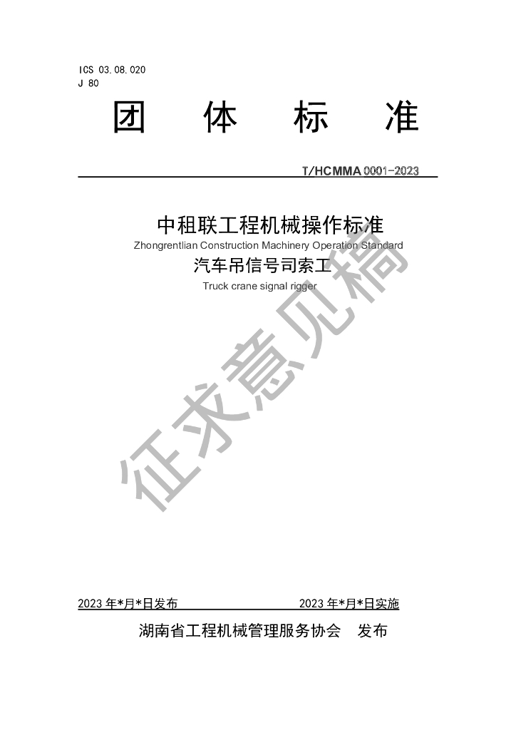 T/HCMMA XXXX-20XX 标准预览