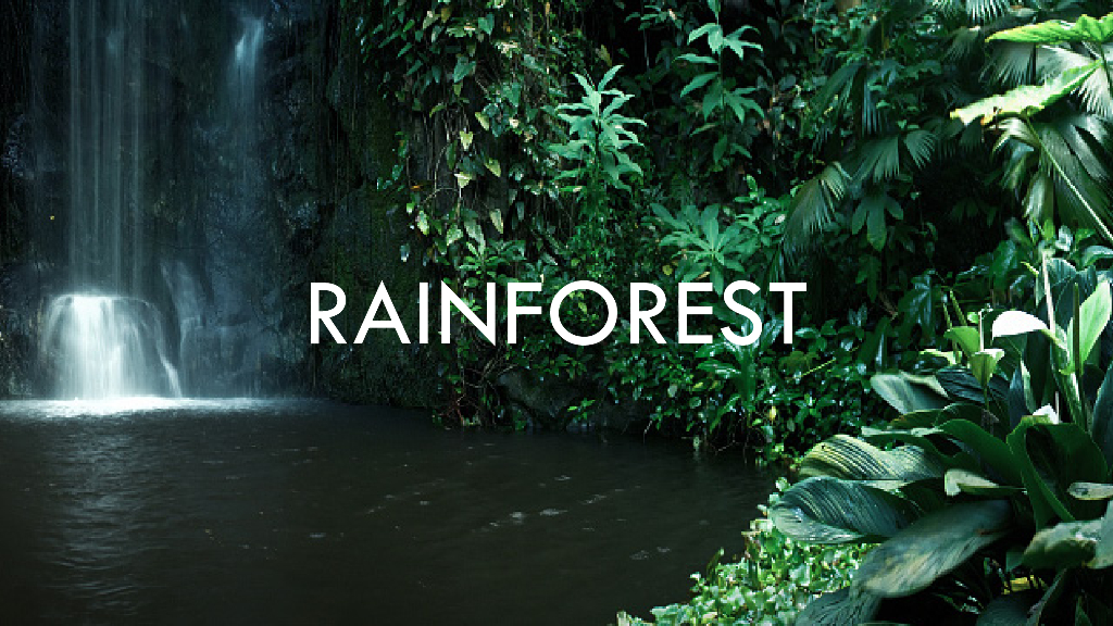 星空芭拉湖+林洞悉光酒店项目景观方案文本