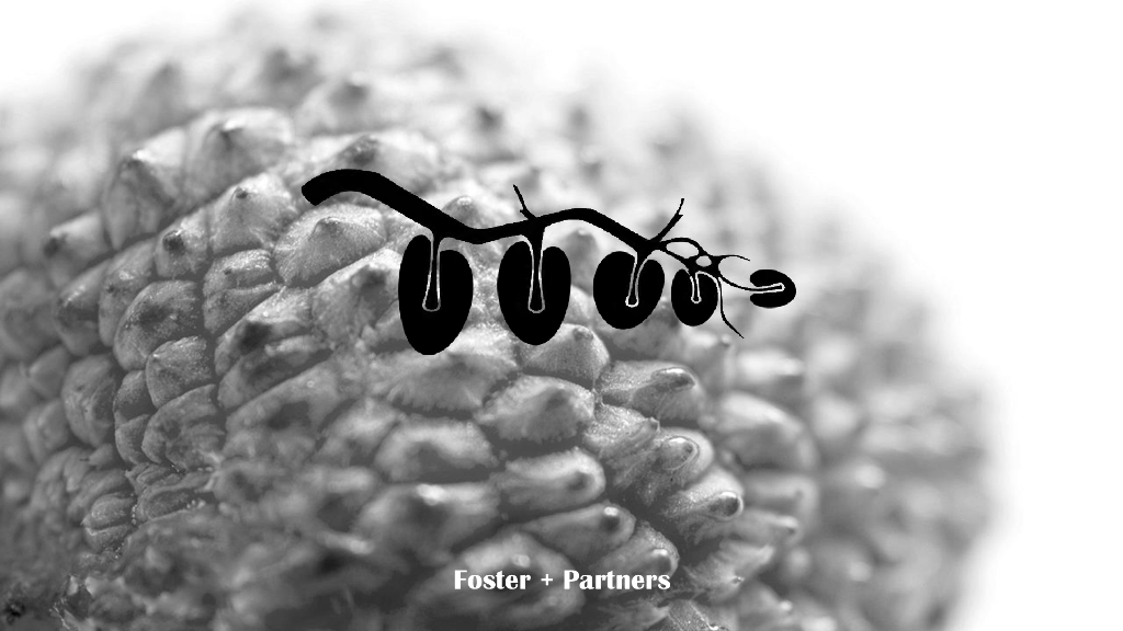 创意集群+诗意栖居国际文化广场方案2022