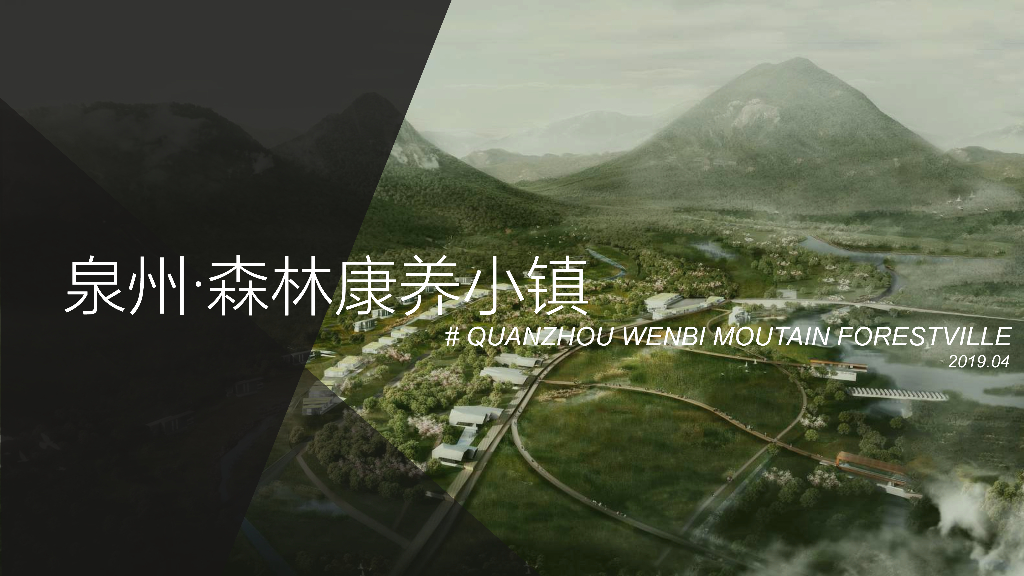 [福建]泉州某森林康养小镇投标项目文本PDF