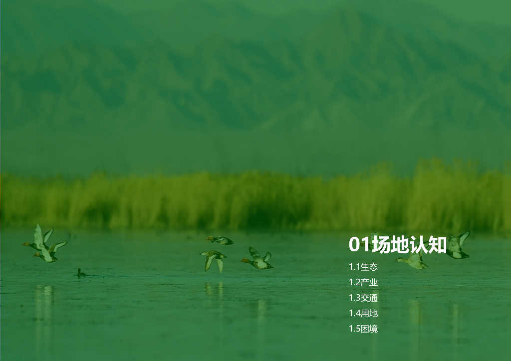 水库综合治理项目方案深化2022_第9页