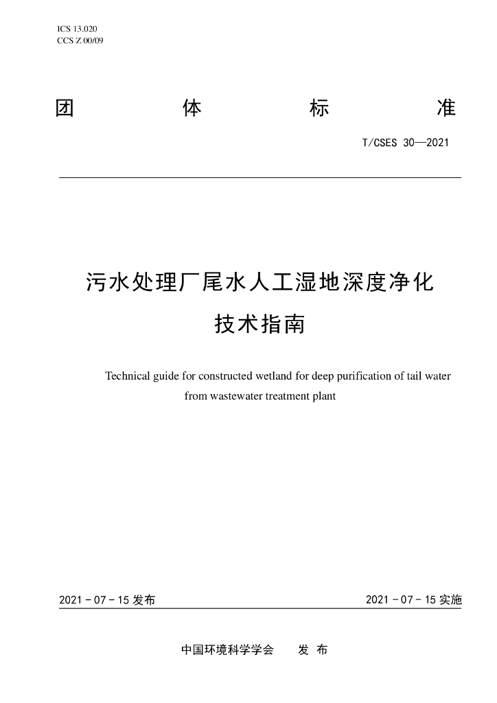 T/CSES 30-2021 标准预览