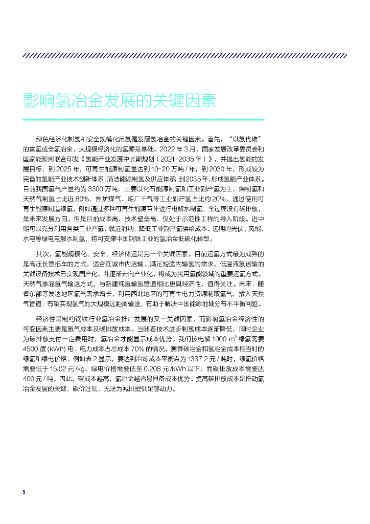 自然资源保护协会：面向碳中和的氢冶金发展战略研究_第8页