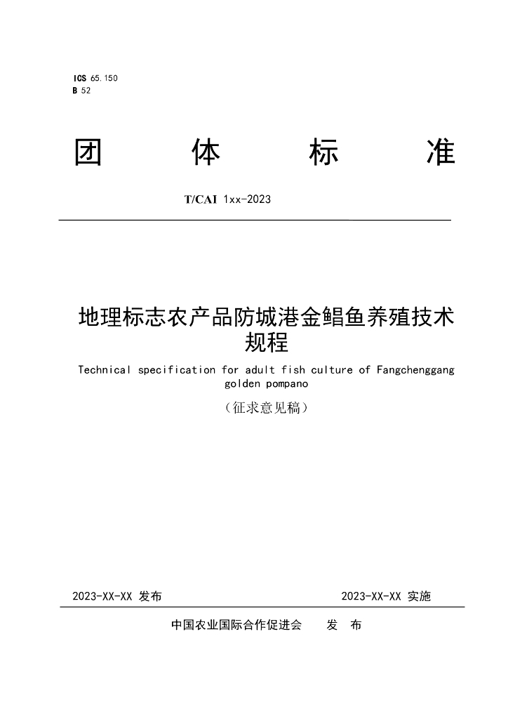 T/CAI XXXX-20XX 标准预览