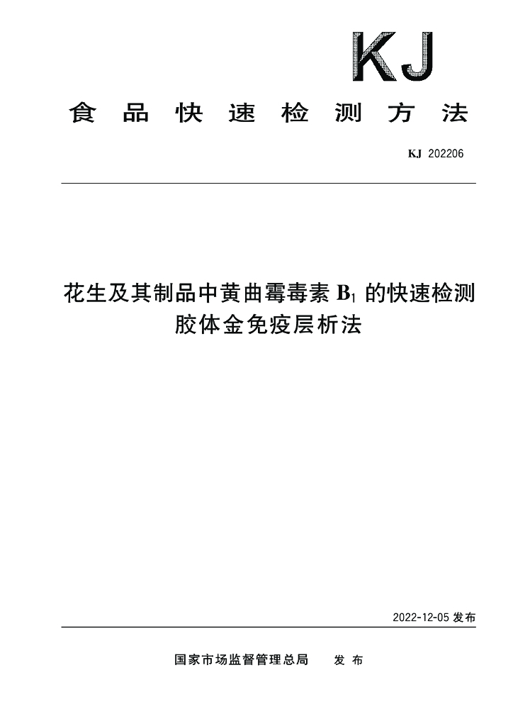 KJ 202206 标准预览