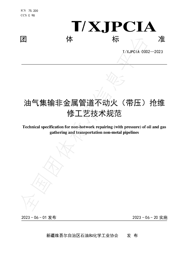 T/XJPCIA 0002-2023 标准预览
