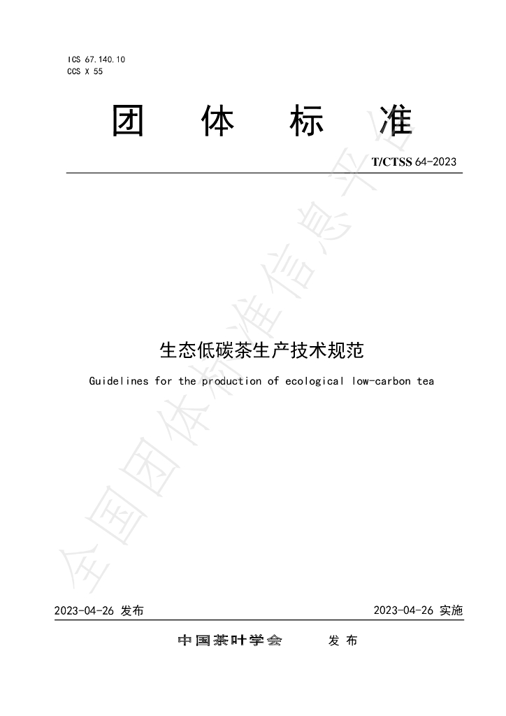 T/CTSS 64-2023 标准预览