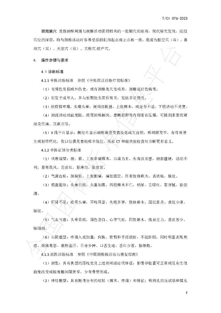 T/CI 076-2023 标准预览