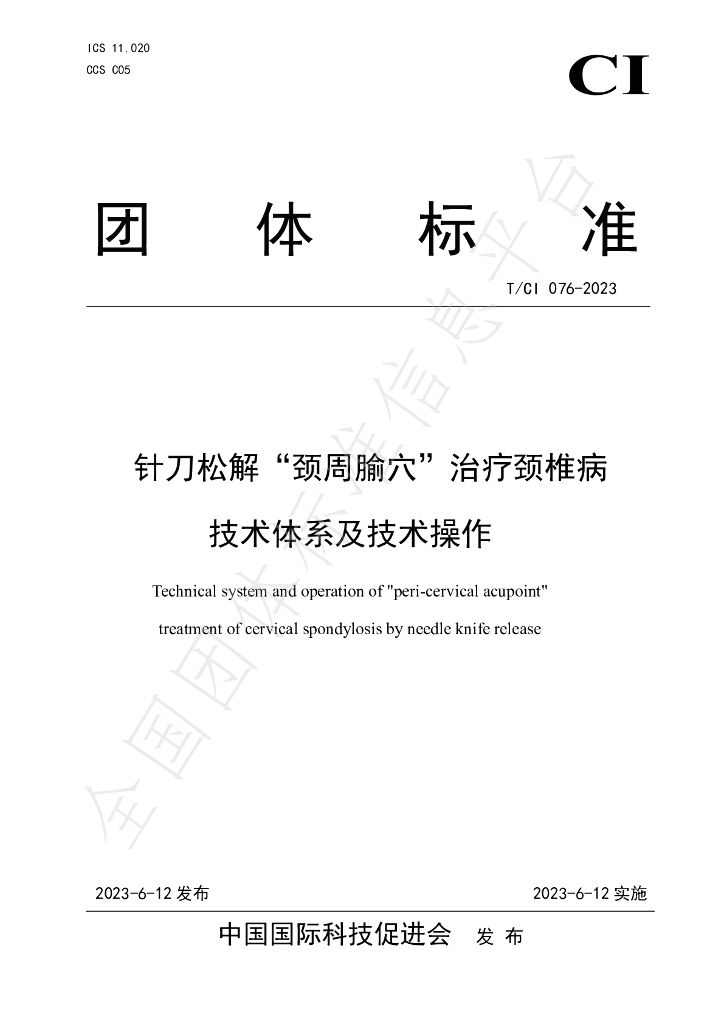 T/CI 076-2023 标准预览