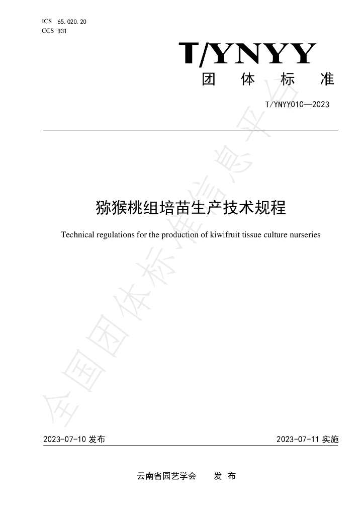 T/YNYY 010-2023 标准预览