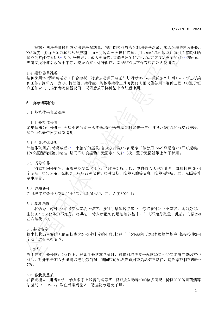T/YNYY 010-2023 标准预览