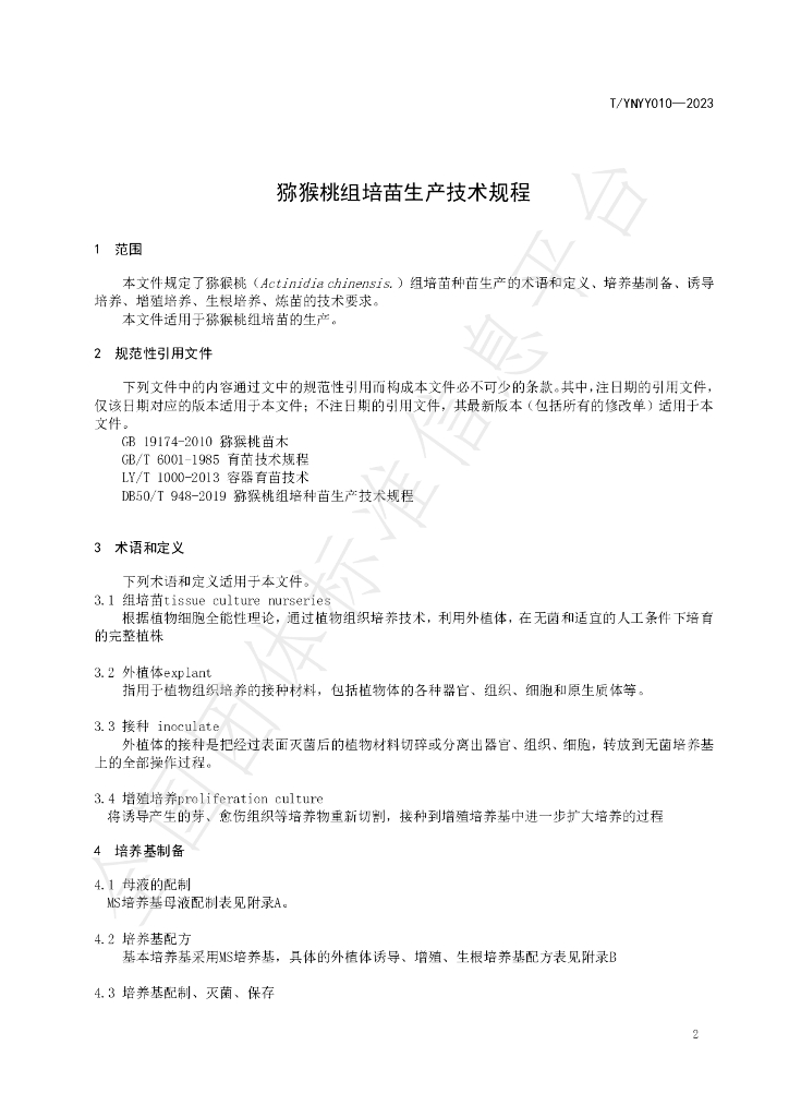 T/YNYY 010-2023 标准预览