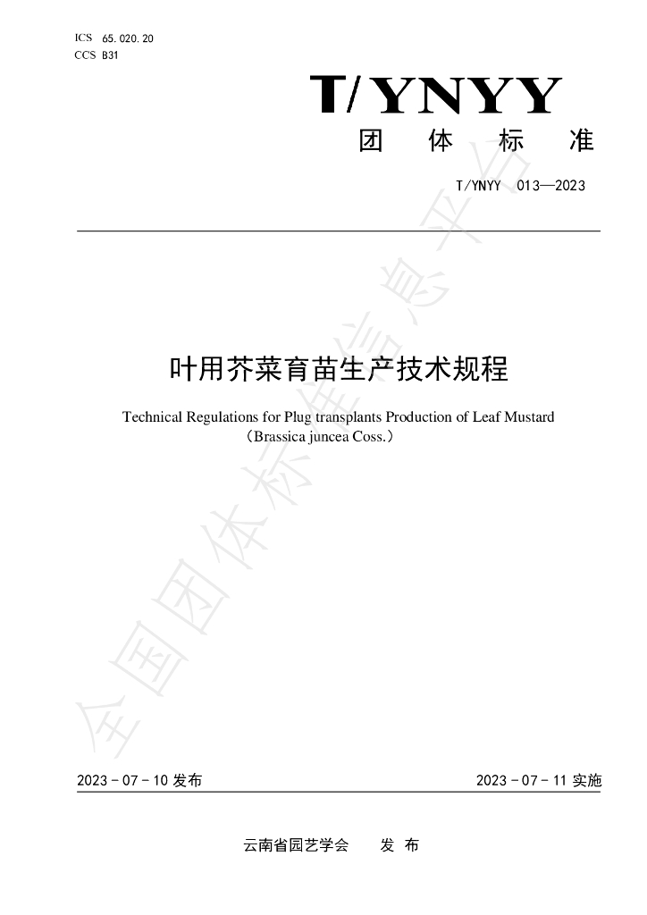 T/YNYY 013-2023 标准预览