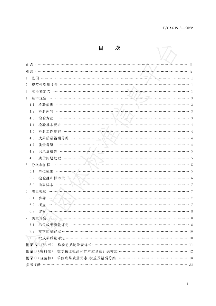 T/CAGIS 8-2022 标准预览