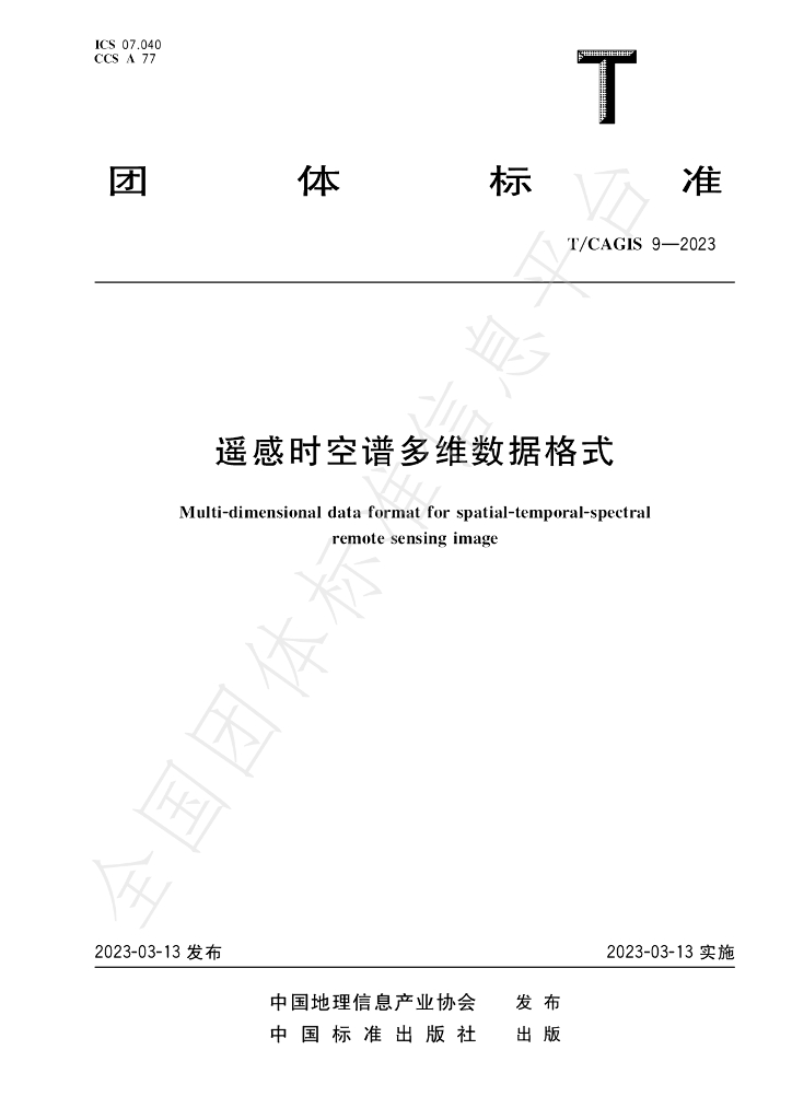 T/CAGIS 9-2023 标准预览