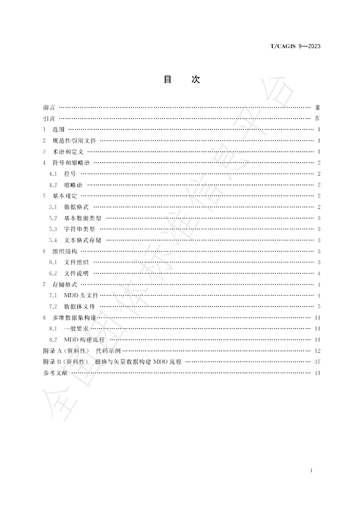 T/CAGIS 9-2023 标准预览