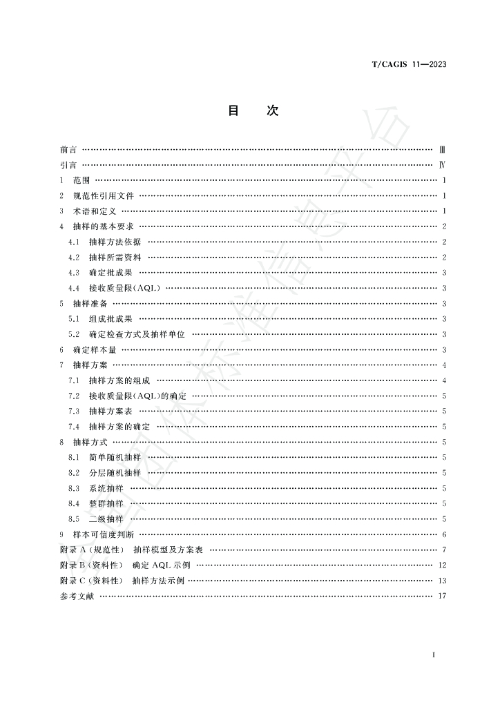 T/CAGIS 11-2023 标准预览