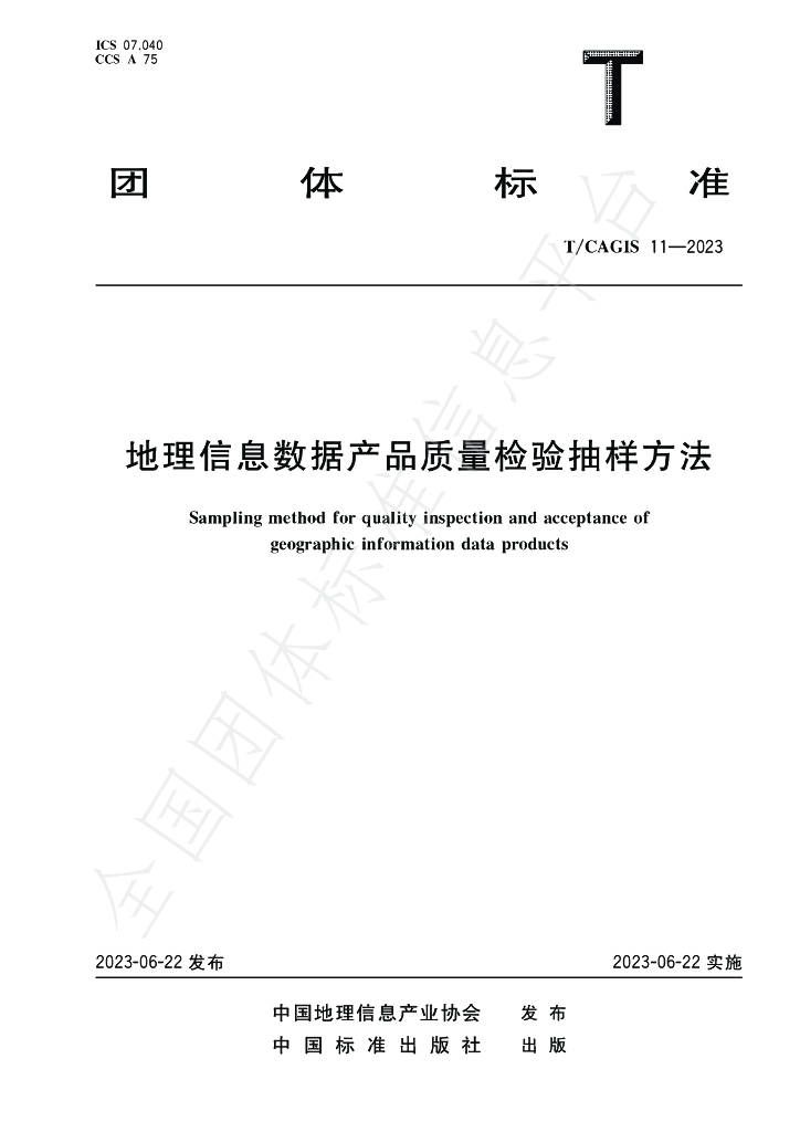 T/CAGIS 11-2023 标准预览