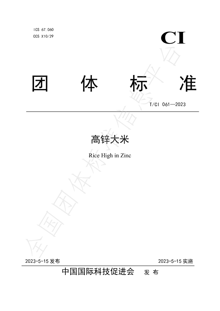 T/CI 061-2023 标准预览