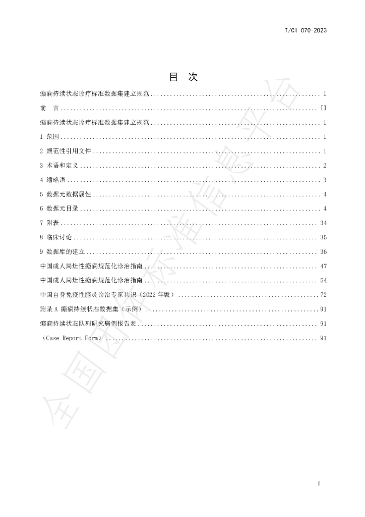 T/CI 070-2023 标准预览