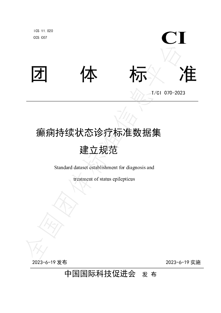 T/CI 070-2023 标准预览