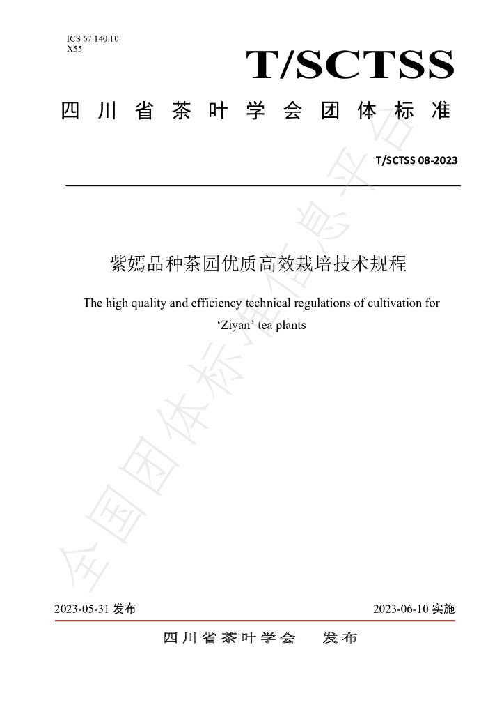 T/SCTSS 08-2023 标准预览